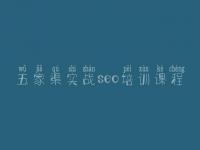 五家渠实战seo培训课程，网站排名seo优化