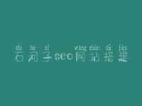 石河子seo网站搭建_seo有前景没