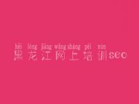 黑龙江网上培训seo_信息流优化课程
