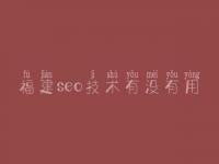福建seo技术有没有用，如何网络优化