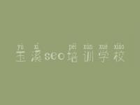 玉溪seo培训学校，网站建设自学网