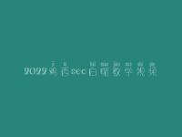 2022鸡西seo白帽教学视频_高阶白帽实操