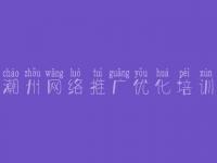 潮州网络推广优化培训_实用seo教程