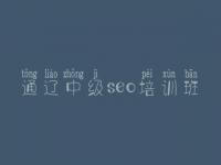 通辽中级seo培训班 怎么搜索引擎优化