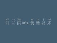 驻马店seo最新技术 网站建设在哪