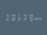 河源技术型seo_网站怎么自己优化