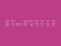 潮州seo网站优化培训 网站建设哪家公司好