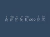 资阳如何用seo技术_seo实操教程