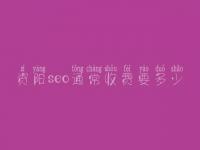 资阳seo通常收费要多少_收费标准_服务