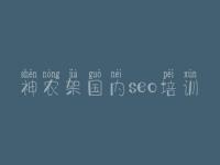 神农架国内seo培训 网站建设福建