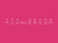七台河seo需要培训吗，怎样做网站建设