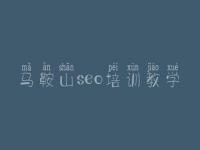 马鞍山seo培训教学_网站开发与建设