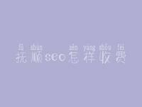 抚顺seo怎样收费_地址_电话