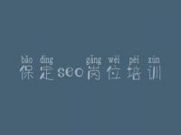 保定seo岗位培训 seo中级教程