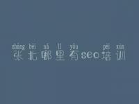 张北哪里有seo培训，合优网站建设