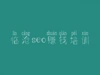 临沧seo赚钱培训 seo基础教程