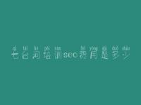 七台河培训seo费用是多少_零基础seo教程