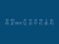 株洲seo培训学校机构，网站优化需要什么