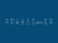 忻州阿里巴巴seo培训_国内建设网站