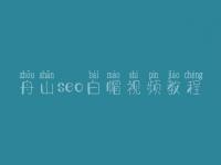 舟山seo白帽视频教程_高级白帽实战