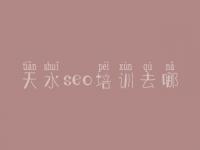 天水seo培训去哪 seo学习教程网