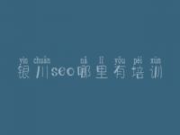 银川seo哪里有培训_网站优化和网络推广