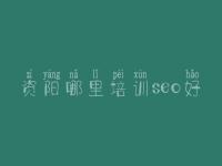 资阳哪里培训seo好 企业建设网站哪家好