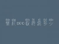肇庆seo收费需多少_服务如何