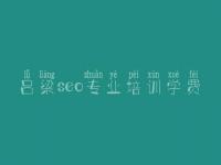 吕梁seo专业培训学费_怎么自己优化网站