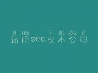 益阳seo技术公司，seo初学教程