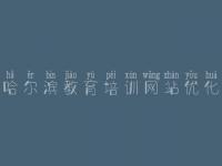 哈尔滨教育培训网站优化_网站的优化经验