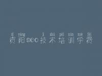 资阳seo技术培训学费_网站建设优化推广