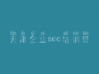 天津企业seo培训班，企业建设网站