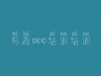 乌海seo培训培训，婚恋网站建设