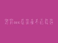 沧州seo培训那个比较好，企业seo优化方法