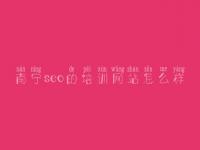 南宁seo的培训网站怎么样，英文seo教程