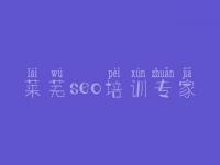 莱芜seo培训专家 网站符合优化