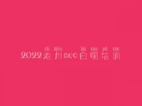 2022池州seo白帽培训_精品白帽实战