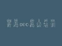 青海seo高级培训_淘宝关键词优化软件