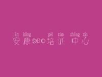 安康seo培训 中心，网站可以优化吗