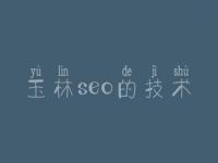 玉林seo的技术，seo零基础视频教程