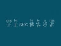 张北seo博客资源 网站开发建设公司