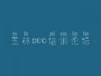 玉林seo培训论坛 新网站优化