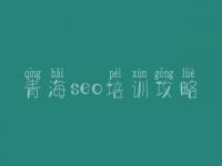 青海seo培训攻略 网站相应优化