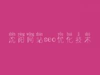 沈阳网站seo优化技术_网站优化开发
