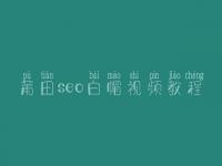 莆田seo白帽视频教程_高阶白帽实操