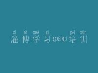 淄博学习seo培训_网站优化按天收费