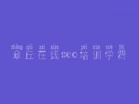 章丘在线seo培训学费_网站建设与维护