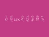 林芝seo有培训班吗 seo网络推广教程