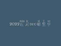 2022庄河seo哪里学_课程_电话
